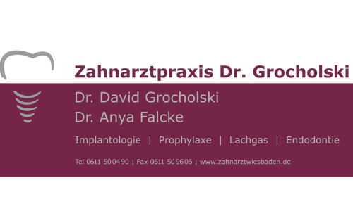 Dr. David Grocholski